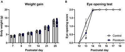 Exposure to GABAA Receptor Antagonist Picrotoxin in Pregnant Mice Causes Autism-Like Behaviors and Aberrant Gene Expression in Offspring